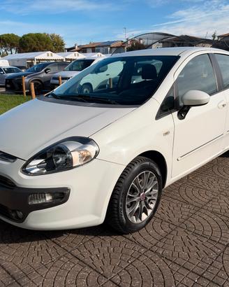 Fiat Punto Evo 1.2 5 porte Active