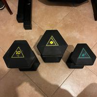 Coppia manubri 10kg + singolo 5Kg