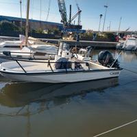 Boston whaler guardian 19