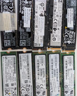 10 Dischi SSD NVME 256GB M.2 2280