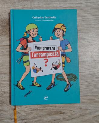 Vuoi provare l'arrampicata?