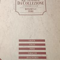 Set di stampe decorative vintage –Nuovo