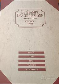 Set di stampe decorative vintage –Nuovo