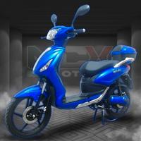 Scooter Elettrico 1250W