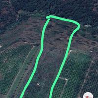 Terreno contrada Zatta farina Francofonte
