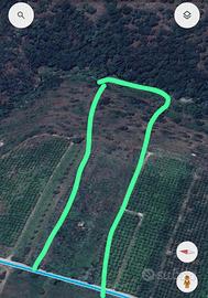 Terreno contrada Zatta farina Francofonte