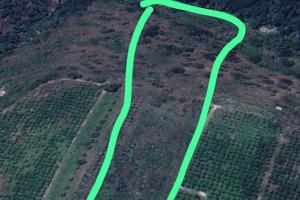 Terreno contrada Zatta farina Francofonte