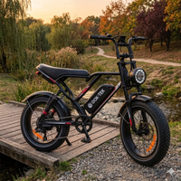 Bici elettrica Fat bike 48V 17,5Ah