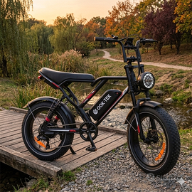 Bici elettrica Fat bike 48V 17,5Ah
