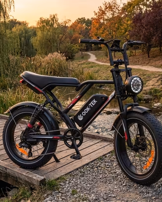 Bici elettrica Fat bike 48V 17,5Ah a 2 posti