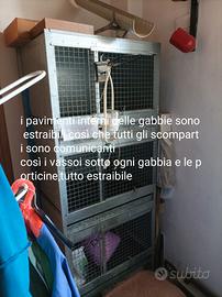 gabbia animali