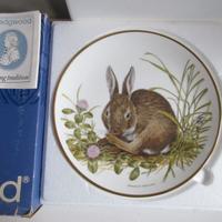 Piatto Rabbit Wedgwood Edizione limitata 23cm