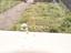 Immagine 19