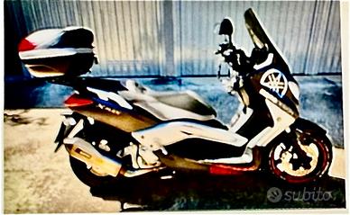 Yamaha X max 250 Momo Design ( 2013 )