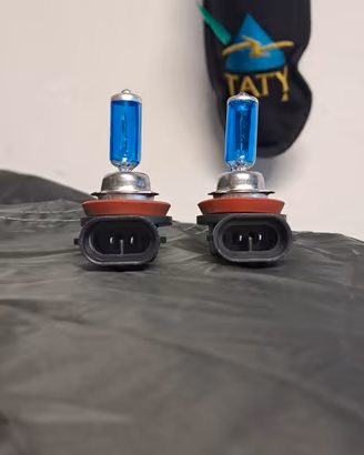 Coppia Lampade Alogene Fendinebbia 