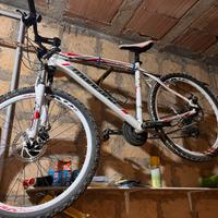 Mountain Bike • Bici