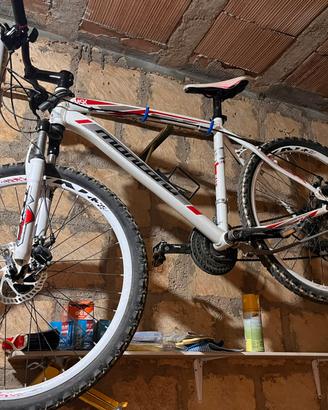 Mountain Bike • Bici
