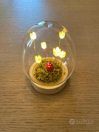 Lampada