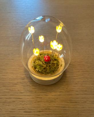 Lampada