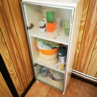 Mobile vetrina con anta decorata