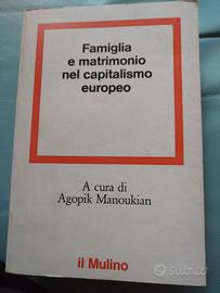 Famiglia e matrimonio. nel capitalismo europeo 