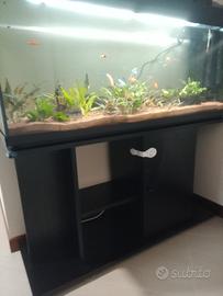 acquario 300 litri con mobile 