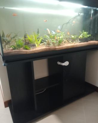 acquario 300 litri con mobile 