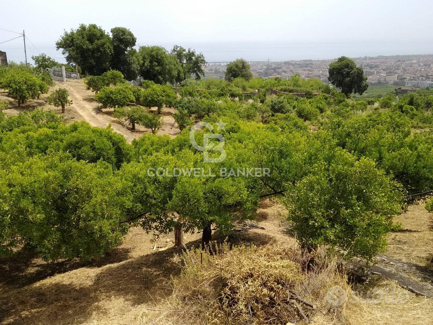 Terreno - Mascali - Vista 3
