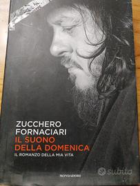 Zucchero - Il suono della domenica 
