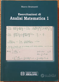 Esercitazioni di analisi matematica 1, Bramanti M