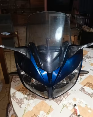 carena Yamaha Fazer 1000 del 2010