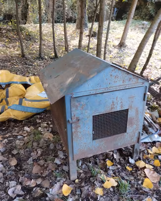 Casetta per galline