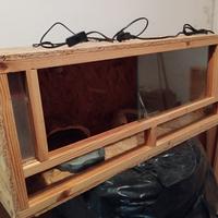 Teca terriaro rettile