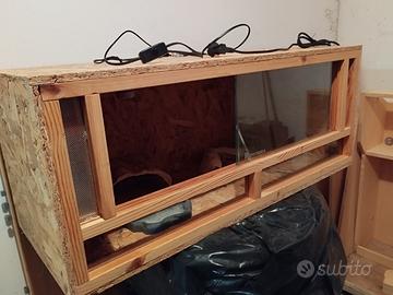 Teca terriaro rettile