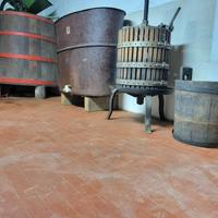 torchio-pigiauva-tini