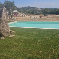 Propieta unica nel suo genere