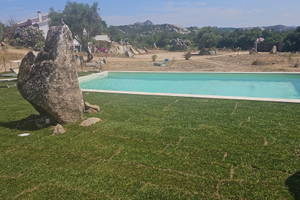 Propieta unica nel suo genere