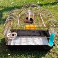 Gabbia per uccellini