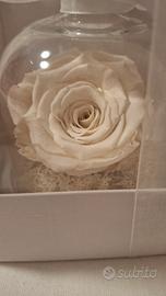 bomboniere rose stabilizzate 