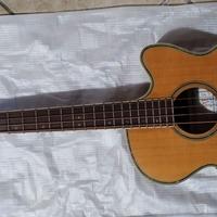 basso acustico elettrificato Rolings.