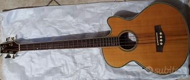 basso acustico elettrificato Rolings.