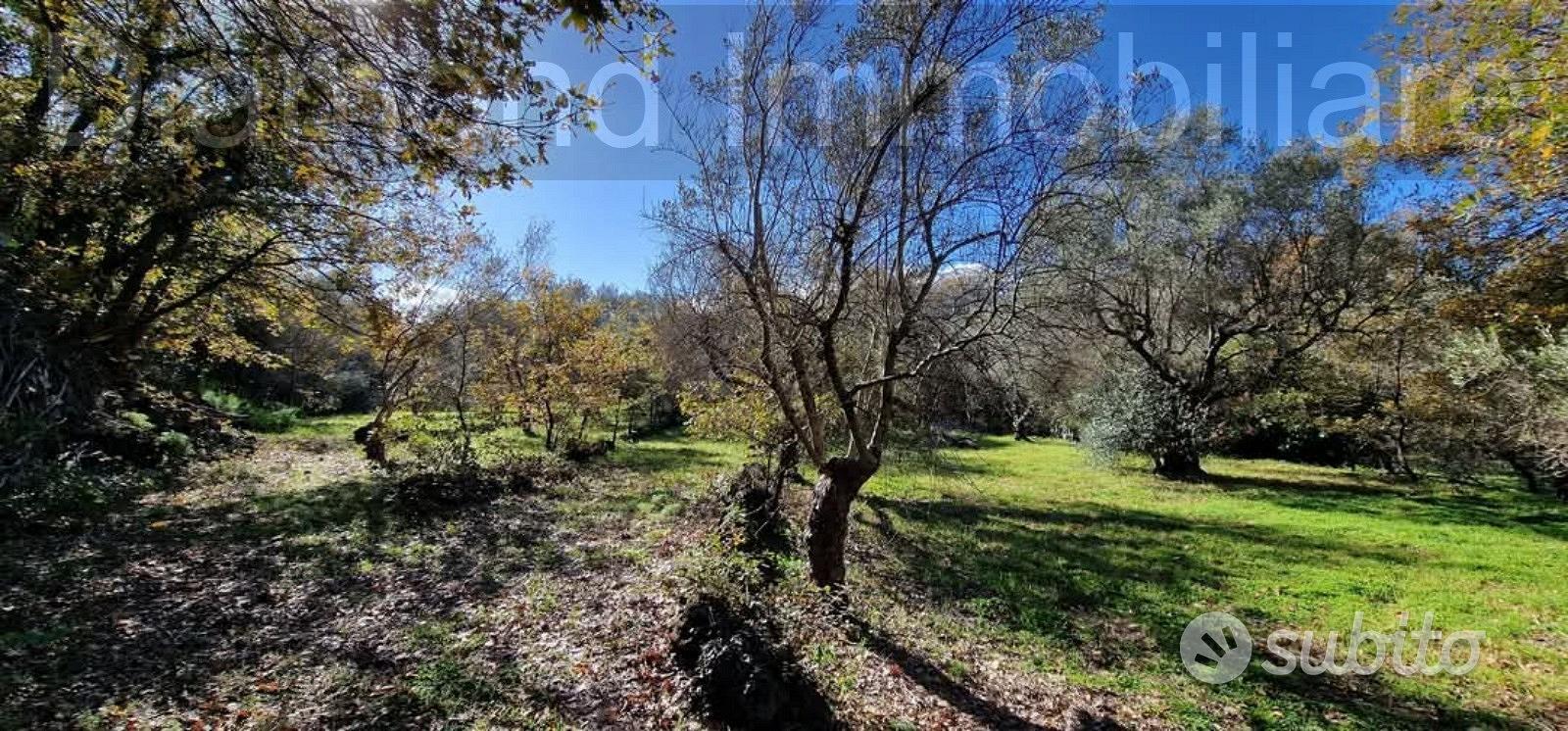 Terreno con rustico a Castiglione di Sicilia - Vista 4