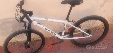 bici 24
