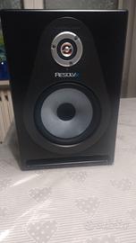 Cassa amplificata Resolv SE8 basso reflex 100 w