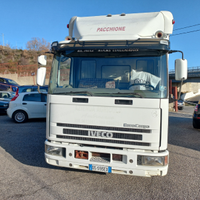 Iveco eurocargo 65e12 trasporto animali vivi