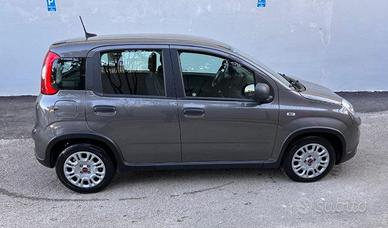 FIAT Panda 3ª serie - 2023 NO FINANZIAMENTO