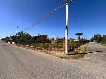 TER. AGRICOLO A ROMA