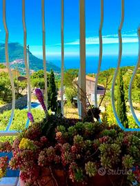 Tricolale ristrutturato