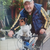 Disponibile cane