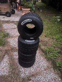 VEGA W6 – CIK RAIN